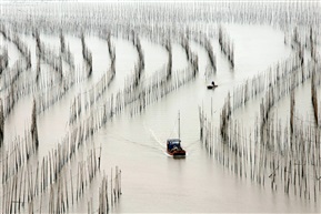 霞浦滩涂《沙江s湾》