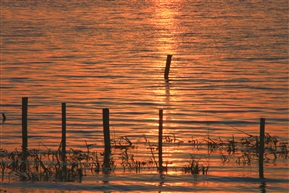 夕阳无限好