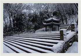 亭林雪景