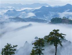 梦中之景