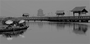 我的照片46