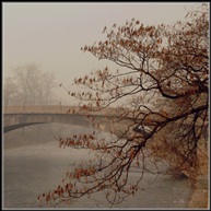 《冬日赵州桥》