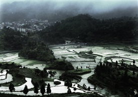 烟雨田园