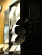 我的照片50