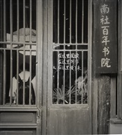 在这里慢下来