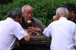 观棋不语