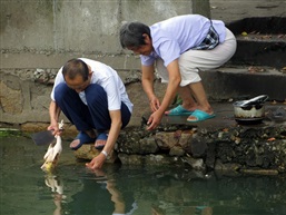 重见河中洗食材二