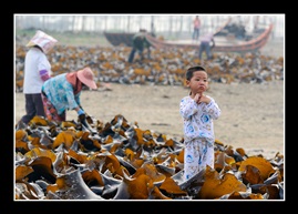 生活在海边的孩子