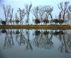 对称
