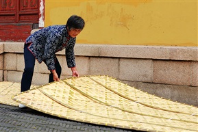 锦溪船娘二十五