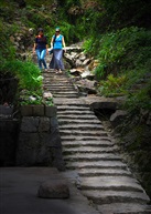 佳丽山中来