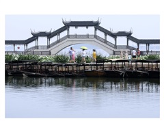 《锦溪印象》