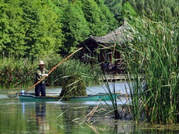 打水草