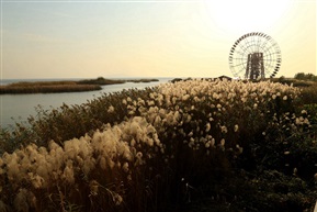 苏州太湖湿地公园