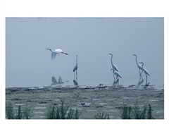 《送行》