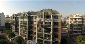 我家后院