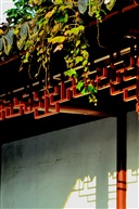 享受阳光