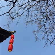 冬
