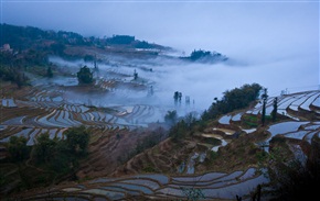 元阳梯田