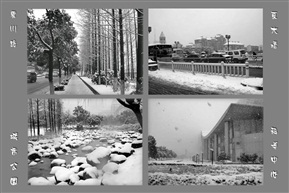 08年1月28日昆山第一场大雪