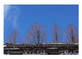 《蓝》
