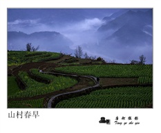 山村春早