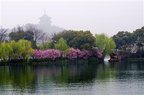 春到江南