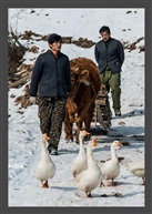 《生活》