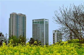 变迁2