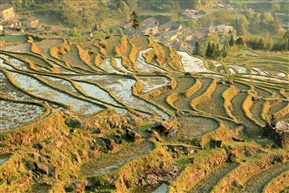 梯田