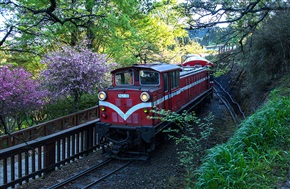 阿里山的森林小火车