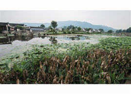 安静的小山村