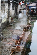 水乡寻梦
