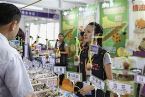 昆山老字号精品展卖精油