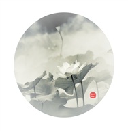 荷花图