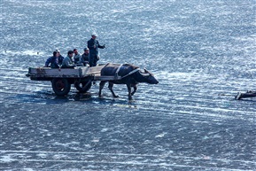 赶海归来