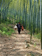 山路