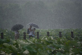 爆雨来袭