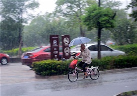 雨中行