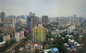 城市森林