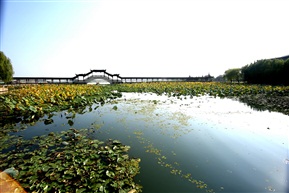 水乡一景3