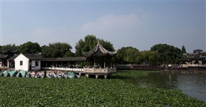 水乡一景4