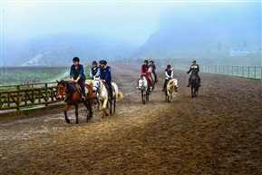 仙女山跑马场