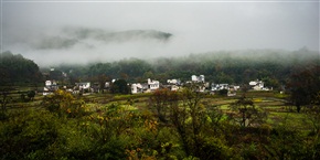 秋雨中的塔川