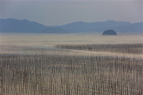 福建霞浦北歧沙滩