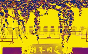 秋妆一帘