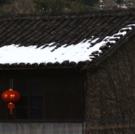 《冬去春会来 》