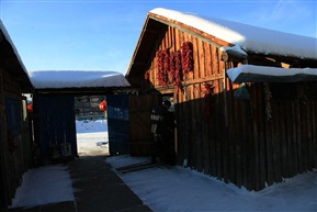 我的照片754漠河雪景