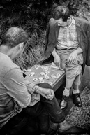 棋友