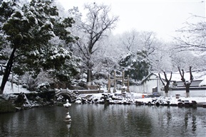 《 雪之亭林 》